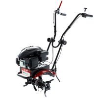 Benassi BL 20 – Motobineuse à essence 4,5 CV, moteur Loncin 139 cm³