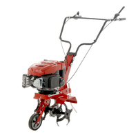 Einhell GC-MT 2536 – Motobineuse à essence, moteur 150 cm³